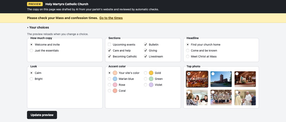 The checklist on a mockup page, with choices for how much copy, which sections show, the headline, the look, the accent color and the top photo, and an Update preview button.